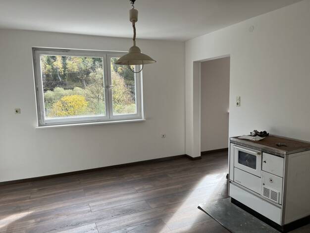 Einfamilienhaus zum Kauf 110.000 € 4 Zimmer 250 m² 250 m² Grundstück Lauenstein Ludwigsstadt 96337