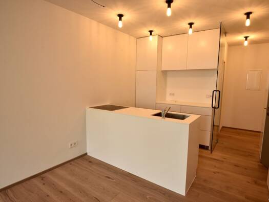 Wohnung zum Kauf 210.000 € 2 Zimmer 45 m² 1. Geschoss Bregenz 6900