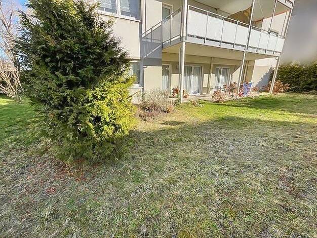 Wohnung zum Kauf 319.000 € 4 Zimmer 102,4 m² EG Cottbus 03046