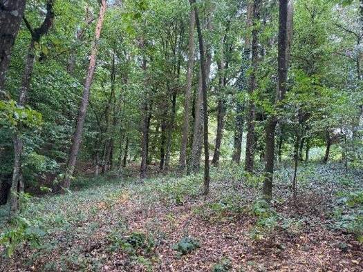 Land-/Forstwirtschaft zum Kauf 35.070 € 5.010 m² Grundstück Mettenbach Essenbach / Mettenbach 84051