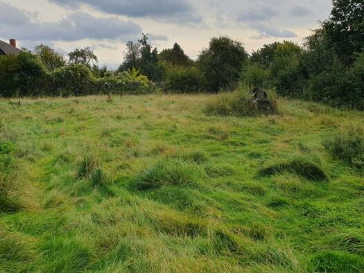 Grundstück zum Kauf 115.000 € 1.786 m² Grundstück Stintenburger Hütte Zarrentin am Schaalsee 19246