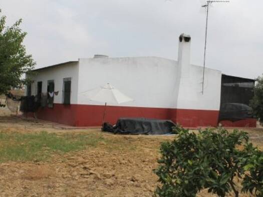 Bauernhaus zum Kauf 84.000 € 4 Zimmer 120 m² 9.000 m² Grundstück Rociana del Condado 21720