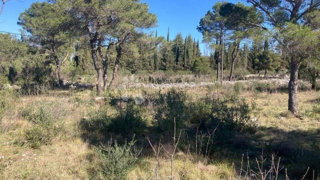 Land-/Forstwirtschaft zum Kauf 77.000 € Bilice