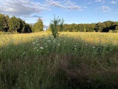 Grundstück zum Kauf Wörth Wörth a. d. Isar 84109
