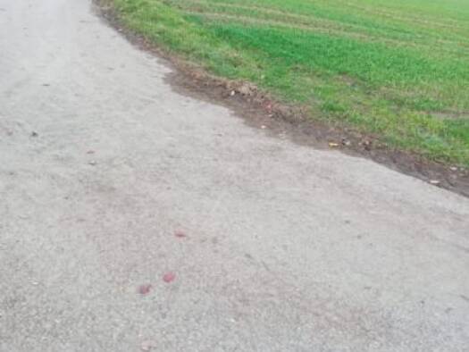 Grundstück zum Kauf 33.000 € 4.145 m² Grundstück Klingenhof Ilshofen 74532