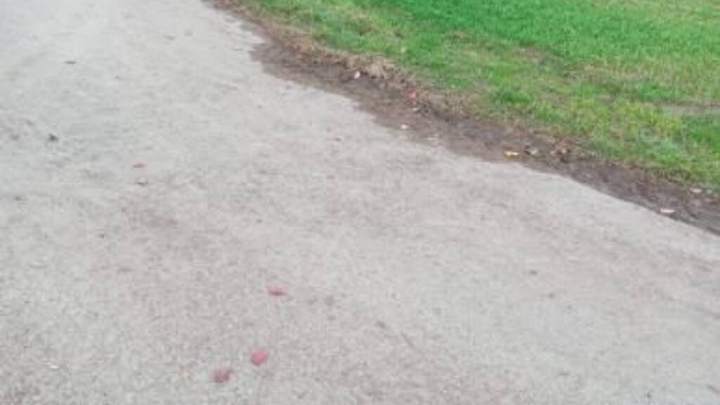 Grundstück zum Kauf 33.000 € 4.145 m² Grundstück Klingenhof Ilshofen 74532