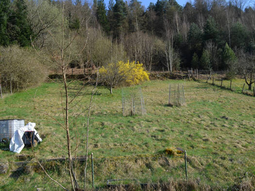 Grundstück zum Kauf 150.000 € 970 m² Grundstück Calmbach Bad Wildbad 75323