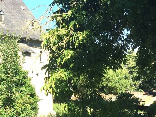 Grundstück zum Kauf 540 m² Grundstück Wiesbaden Nordost 65191