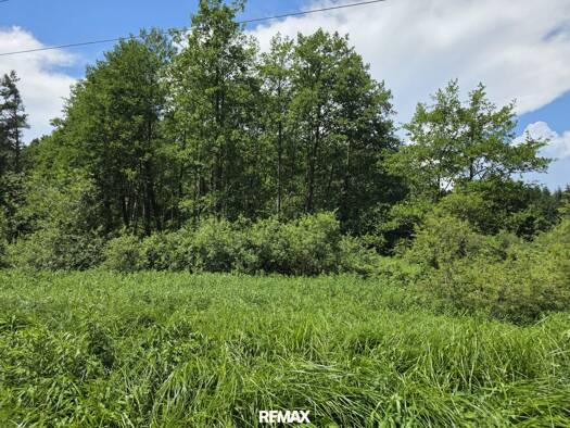 Land-/Forstwirtschaft zum Kauf 4.500 € 7.478 m² Grundstück Neuberg im Burgenland 7537