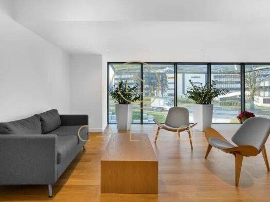 Bürofläche zur Miete provisionsfrei 1.500 m² Bürofläche teilbar ab 1 m² Südvorstadt-Ost Dresden 01069