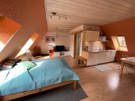 Studio zur Miete 520 € 1 Zimmer 39 m² Geschoss 1/1 frei ab 01.11.2025 Hirschbach Wertingen 86637