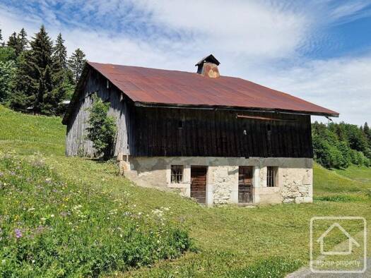 Haus zum Kauf 390.000 € 11.665 m² Grundstück Onnion 74490