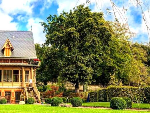 Bürofläche zur Miete 23 € 5 Zimmer 220 m² Bürofläche teilbar ab 150 m² Nauener Vorstadt Potsdam 14469