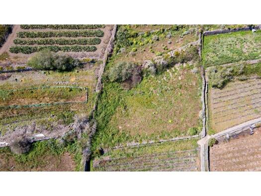 Acker-/Waldstück zum Kauf 19.420 € Buenavista del Norte 38489
