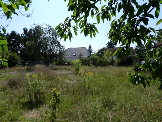 Grundstück zum Kauf 400.000 € 1.099 m² Grundstück Altlandsberg 15345