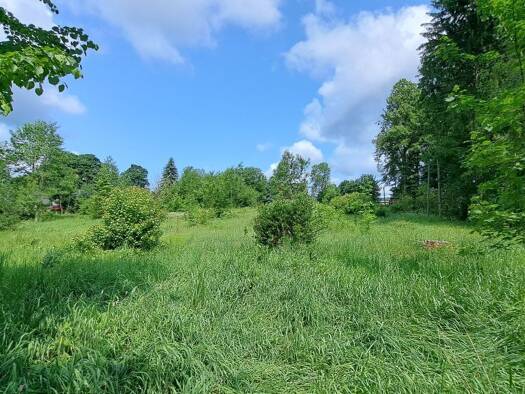 Mehrfamilienhaus zum Kauf provisionsfrei 139.000 € 12.463 m² Grundstück frei ab sofort Müdisdorfer Weg 2 Helbigsdorf Mulda/Sa. 09619