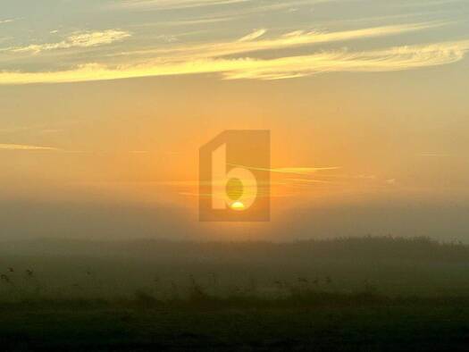 Grundstück zum Kauf 22.000 m² Grundstück Prerow 18375