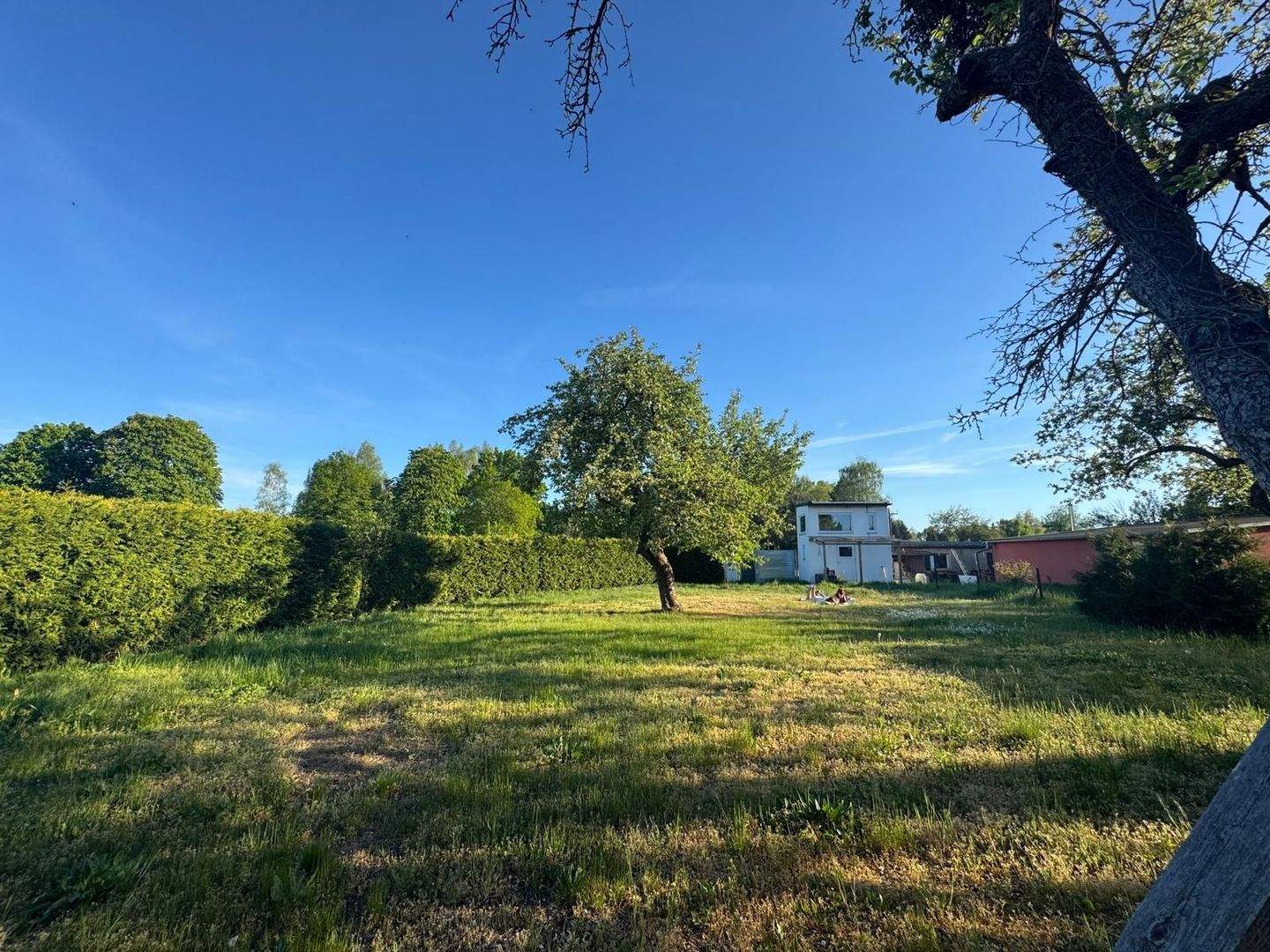 Immobilie in Luckenwalde - Ruhige Gartenoase mit 60qm Gartenhaus - Bild 2