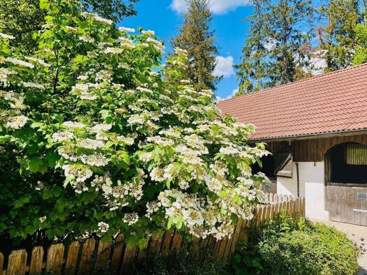 Bauernhof zum Kauf 200.000 m² Stockach 78333