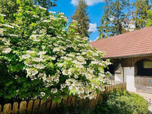 Bauernhof zum Kauf 200.000 m² Stockach Stockach 78333