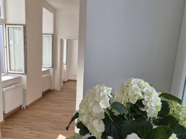 Wohnung zum Kauf provisionsfrei 285.000 € 3 Zimmer 45,5 m² 3. Geschoss Stuwerviertel Wien 1020
