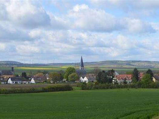 Gewerbegrundstück zum Kauf provisionsfrei 399.000 € 2.607 m² Grundstück Untere Gewerbestraße, Flur 178 Pfaffen-Schwabenheim 55546