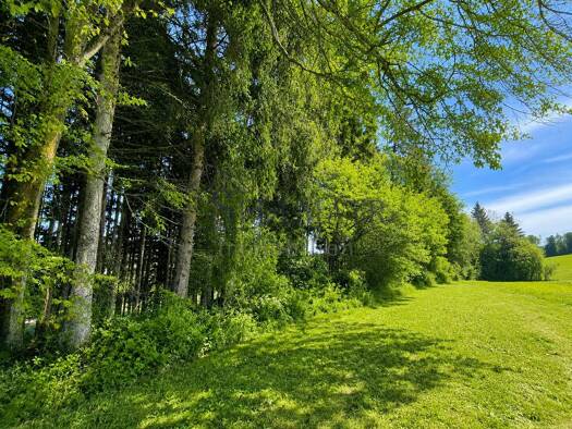 Forstwirtschaft zum Kauf 76.000 € Drößling Seefeld 82229