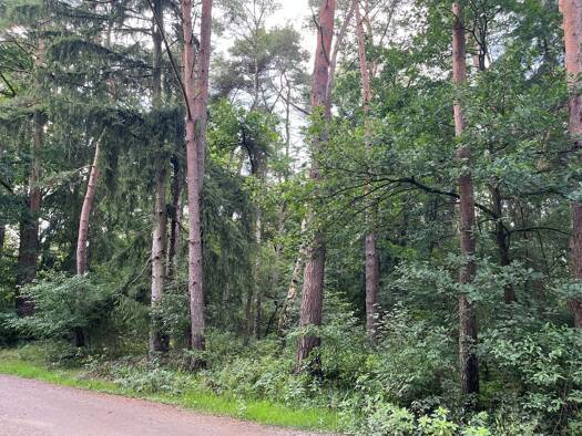 Grundstück zum Kauf provisionsfrei 351.780 € 2.706 m² Grundstück Birkenhain 12 Dierstorf-Heide Wenzendorf 21279