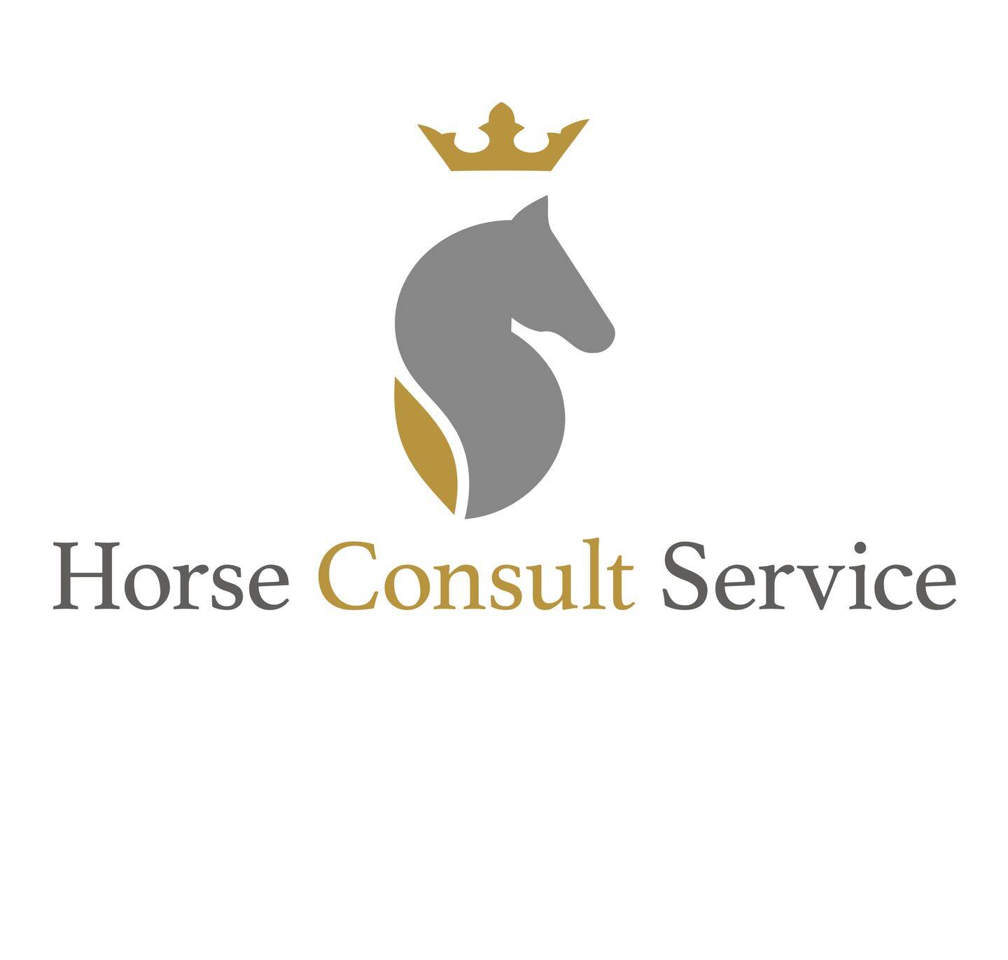 Horse Consult Service GmbH
