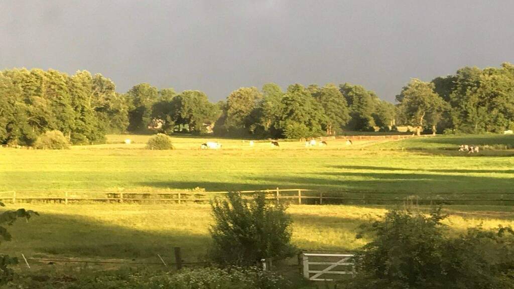 Haus zum Kauf 599.000 € 6 Zimmer 380 m² 2.200 m² Grundstück frei ab sofort Wingst 21789