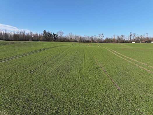 Land-/Forstwirtschaft zum Kauf als Kapitalanlage geeignet 350.000 € 164.000 m² Grundstück Möllenhagen Möllenhagen 17219