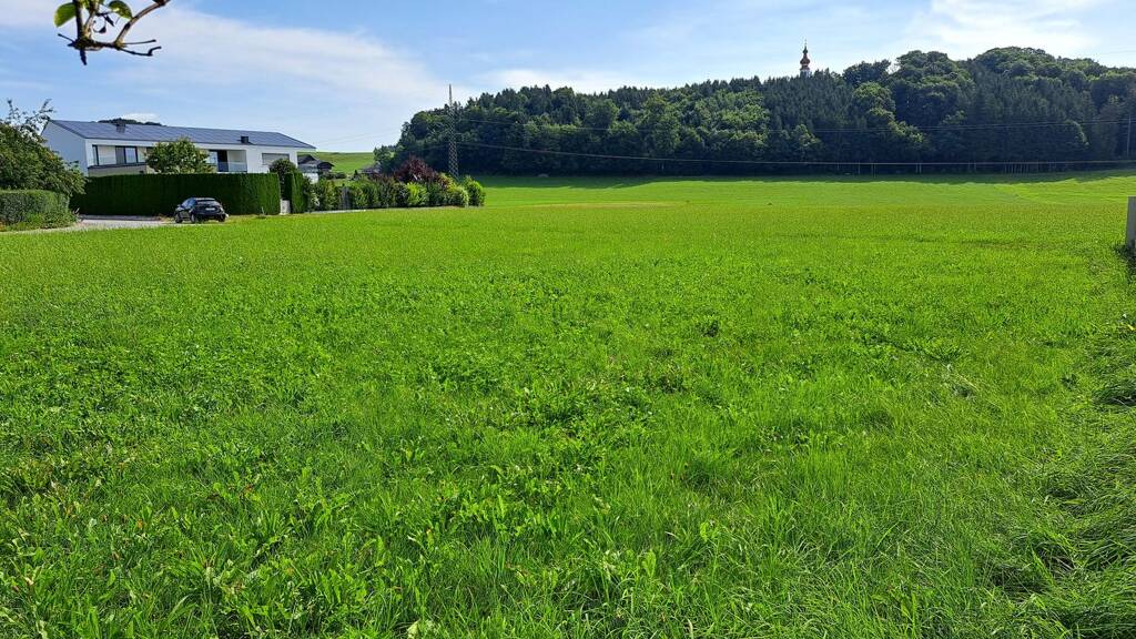 Grundstück zum Kauf 437.000 € 705 m² Grundstück Köstendorf 5203