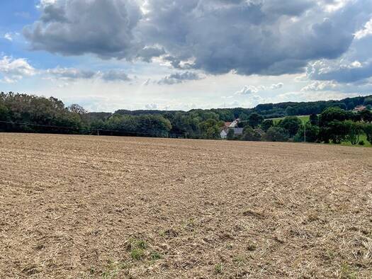 Land-/Forstwirtschaft zum Kauf 290.000 € 48.887 m² Grundstück Ostercappeln Ostercappeln 49179