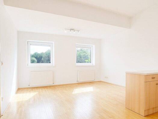 Wohnung zum Kauf 179.000 € 37,2 m² frei ab sofort Gründbergstraße 65a Pöstlingberg Linz 4040