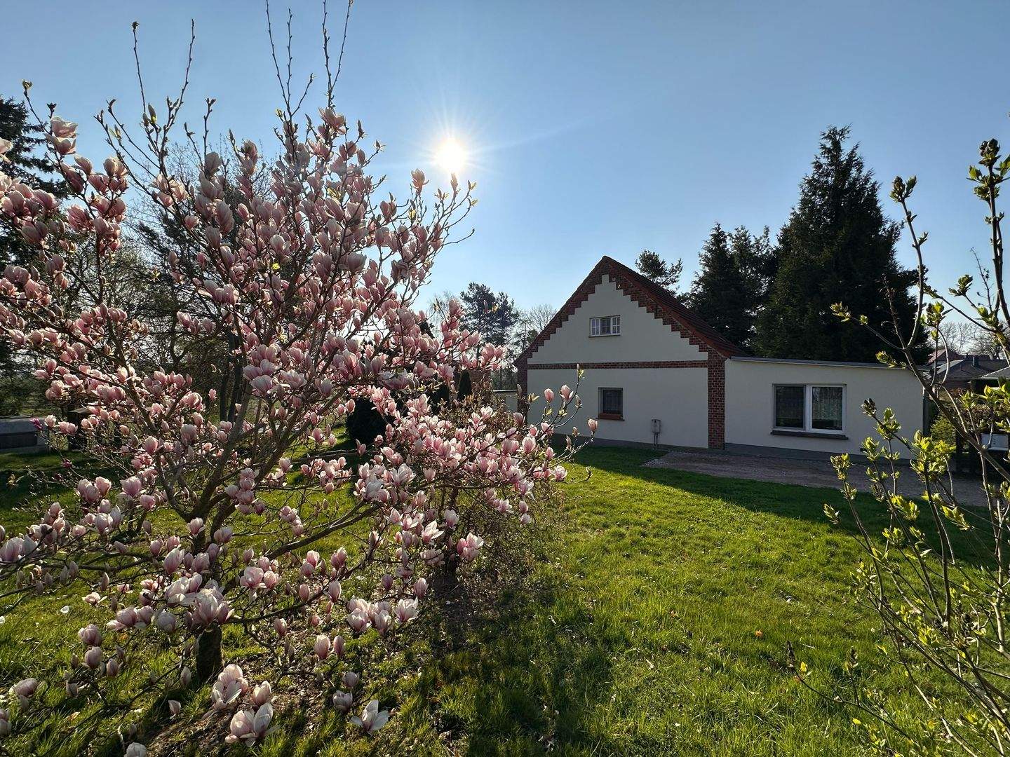 Immobilie in Poseritz - Idyllisch Wohnen im besonderen Ambiente - Bild 3