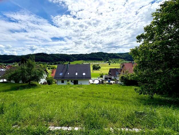 Grundstück zum Kauf 260.000 € 868 m² Grundstück Billafingen Owingen 88696