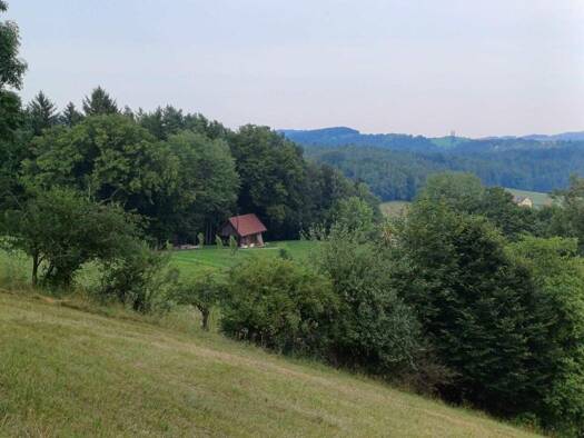Land-/Forstwirtschaft zum Kauf 485.000 € 11.500 m² Grundstück Sankt Johann im Saggautal 8453