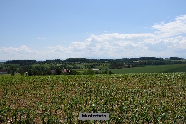 Land-/Forstwirtschaft zum Kauf 16.500 € 2.755 m² Grundstück Wendlingen Wendlingen 73240