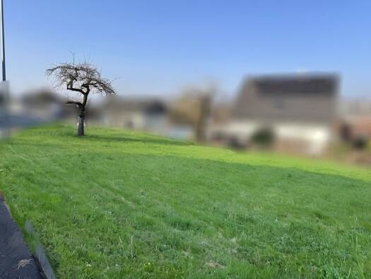 Grundstück zum Kauf 599.000 € 682 m² Grundstück Oberboihingen 72644