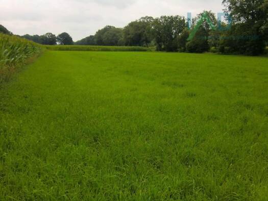 Grundstück zum Kauf 539.000 € 11.069 m² Grundstück Kiebitzreihe 25368