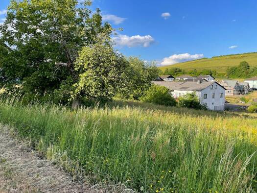 Grundstück zum Kauf 22.000 € 489 m² Grundstück Burbach Burbach 54597