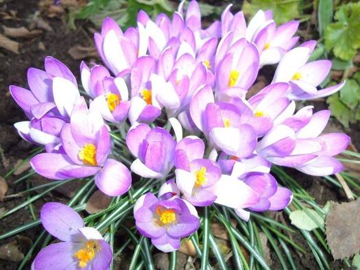 Wohnung zur Miete 355 € 2 Zimmer 51 m² 2 Geschosse frei ab sofort Naumburg Naumburg (Saale) 06618