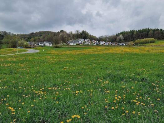 Grundstück zum Kauf 8.000 m² Grundstück Baugenehmigung vorhanden Truppach Mistelgau 95490
