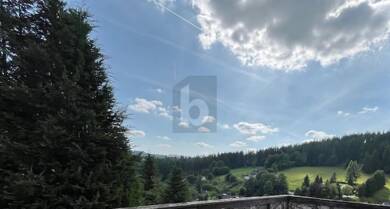 Einfamilienhaus zum Kauf 110.000 € 5 Zimmer 130 m² 550 m² Grundstück Alexanderhütte Tettau 96355