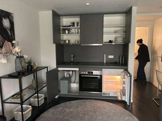 Studio zur Miete 1.200 € 1 Zimmer 30 m² Geschoss EG/4 frei ab 01.06.2026 West Stuttgart 70176