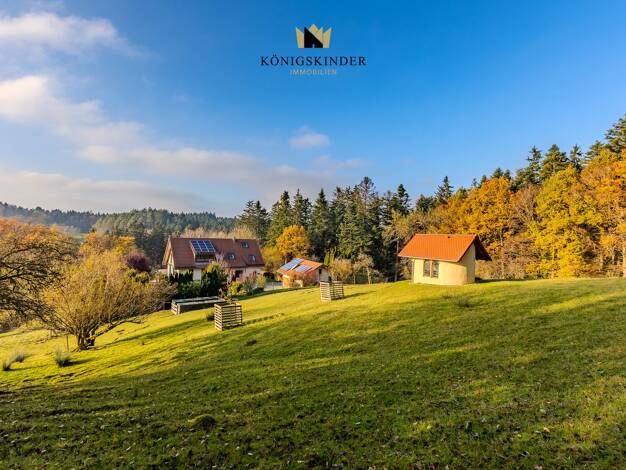 Einfamilienhaus zum Kauf 12 Zimmer 234 m² 45.100 m² Grundstück Brechtenhalden Gschwend 74417