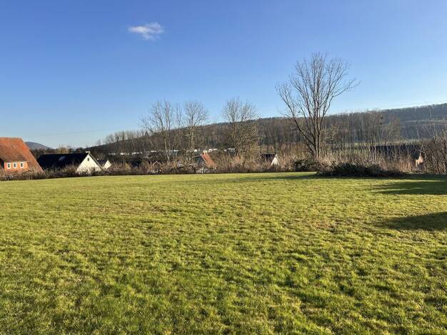 Grundstück zum Kauf provisionsfrei 550.000 € 2.500 m² Grundstück Häverstädt Minden 32429