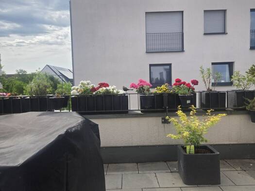 Terrassenwohnung zur Miete 2.070 € 3 Zimmer 74 m² Geschoss 2/3 frei ab 16.11.2026 Schwabing-Freimann München 80807