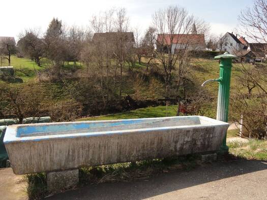 Doppelhaushälfte zum Kauf provisionsfrei 69.000 € 5 Zimmer 100 m² 158 m² Grundstück Bachheim Löffingen 79843
