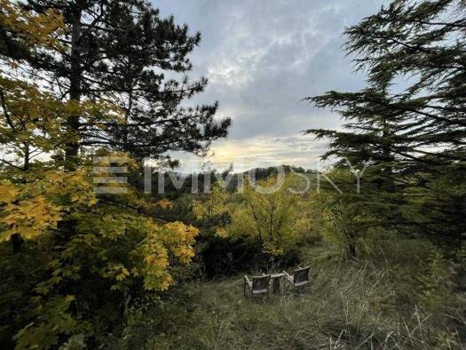 Grundstück zum Kauf 1.113.500 € 2.227 m² Grundstück Langenzersdorf 2103